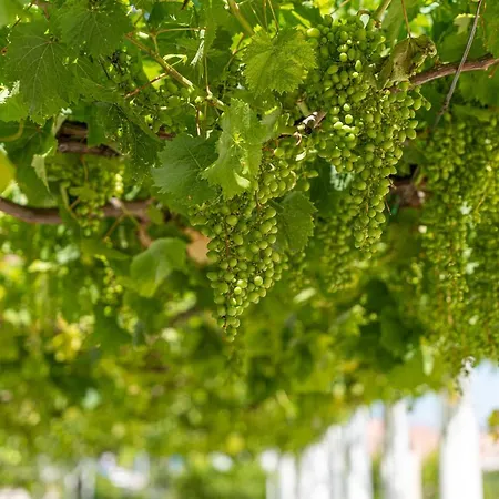 Murieri Pensionat Otranto