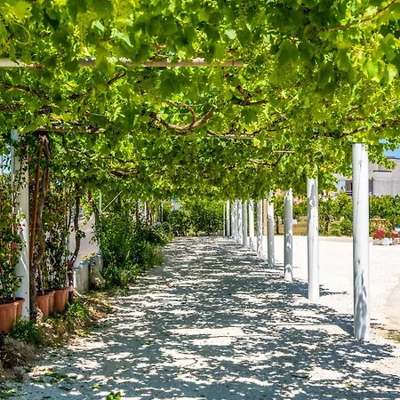 Πανσιόν Murieri