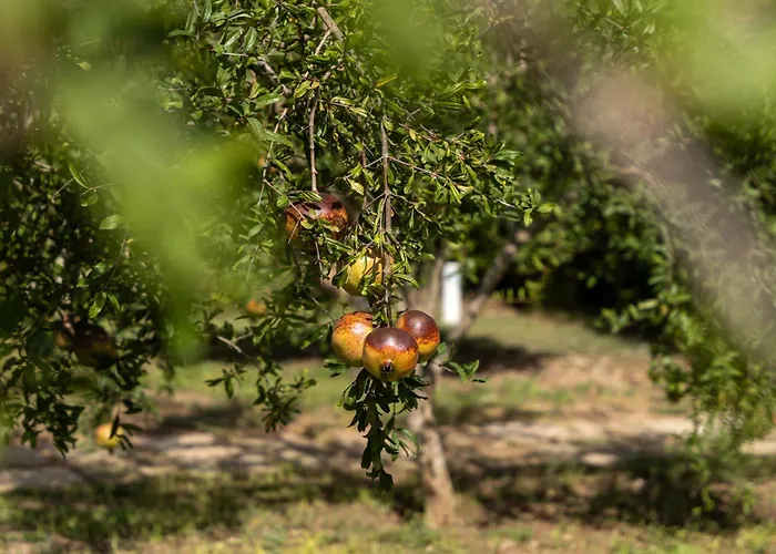 Murieri Pensjonat 4*