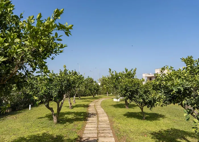 Casa de hóspedes Murieri